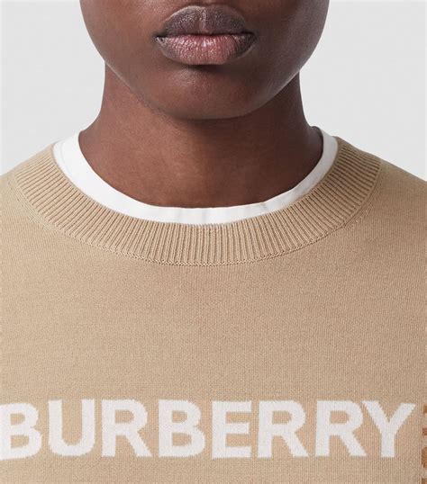 burberry horseferry sweater men's|Wool Cashmere Sweater in Linden .